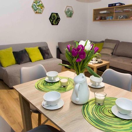 Apartament Grapa Живец Экстерьер фото
