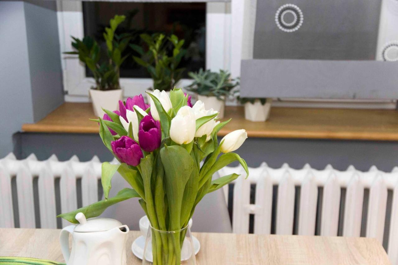 Apartament Grapa Живец Экстерьер фото